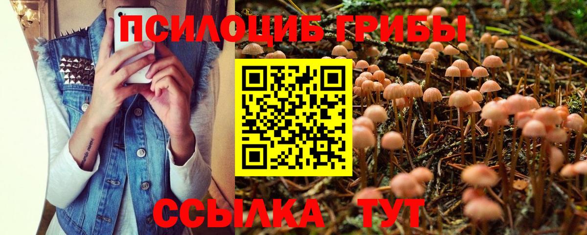 купить наркотик  Галлюциногенные грибы мухоморы  Таганрог  Вход с VPN  Псилоцибиновые грибы GOLDEN TEACHER 